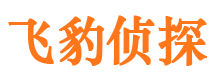 江城捉小三公司